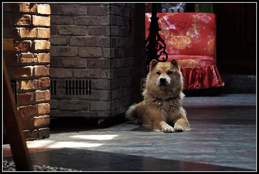 Hostel Red Lantern House Peking Exterior foto